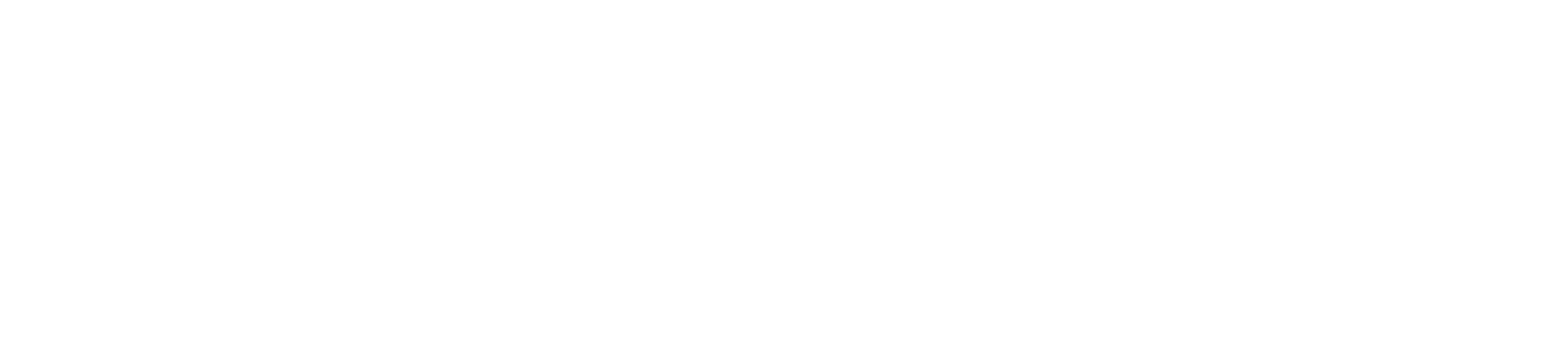 ZIBRA